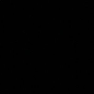 Meet your Posher, Mia